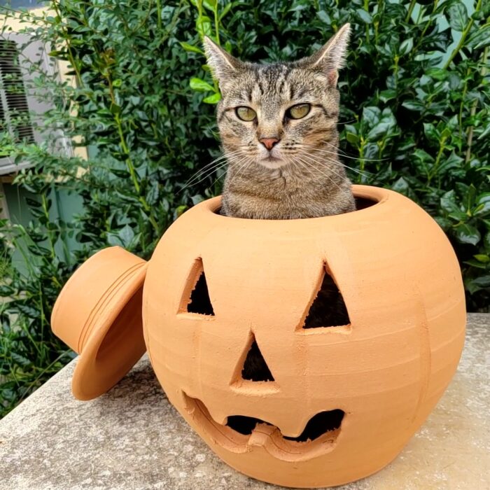 3 Gallon Terra Cotta Jack-o'-lantern Pumpkin with Hat - Image 2